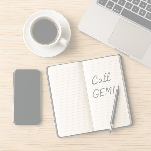 Contact GEMI